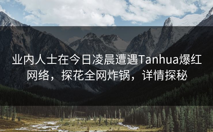 业内人士在今日凌晨遭遇Tanhua爆红网络，探花全网炸锅，详情探秘