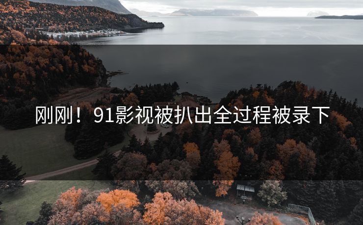 刚刚！91影视被扒出全过程被录下