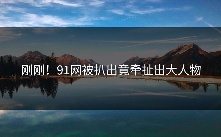 刚刚！91网被扒出竟牵扯出大人物