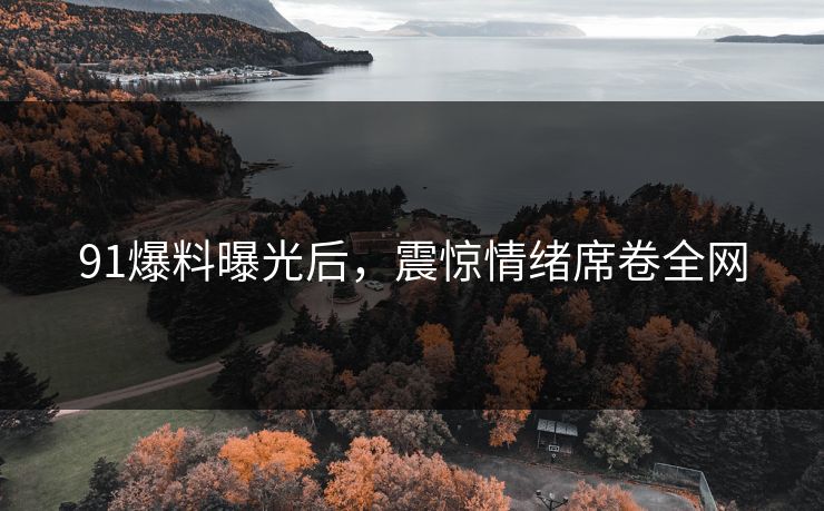 91爆料曝光后，震惊情绪席卷全网