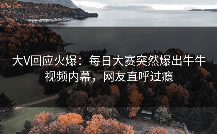 大V回应火爆：每日大赛突然爆出牛牛视频内幕，网友直呼过瘾